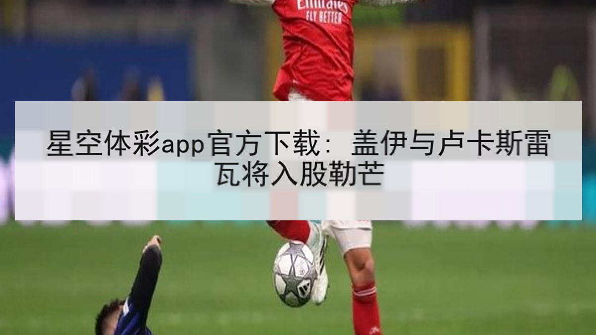星空体彩app官方下载: 盖伊与卢卡斯雷瓦将入股勒芒